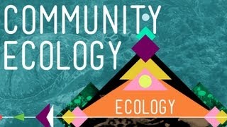 Community Ecology Feel the Love  Crash Course Ecology 4 [upl. by Wei489]