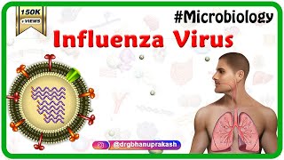 Influenza Virus Microbiology Animation [upl. by Staffard]