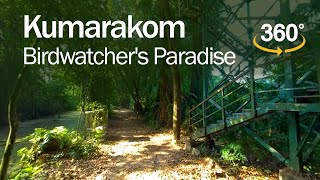 Experience Birdwatchers Paradise  Kumarakom Bird Sanctuary  360° Video  Kerala Tourism [upl. by Barling]