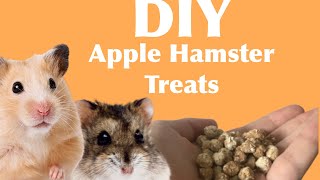 DIY Apple Hamster Treat Recipe [upl. by Devonne]