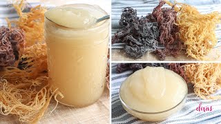 How To Make SEA MOSS GEL In 3 Easy Steps [upl. by Dorisa790]