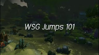 Warsong Gulch Jumps 101 WoW Classic Guide by Xyth [upl. by Rusell]