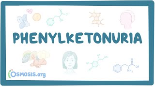 Phenylketonuria  causes symptoms diagnosis treatment pathology [upl. by Anilorak]