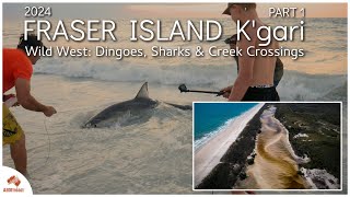 Fraser Islands Wild West Dingos Sharks amp Creek Crossings Part 2 [upl. by Edgar]