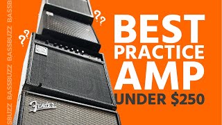 Best Beginner Bass Amp Group Review [upl. by Pernell]