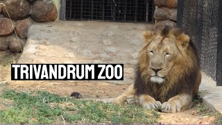 THIRUVANANTHAPURAM ZOO  TRIVANDRUM ZOO  Zoological Park  Thiruvananthapuram Kerala [upl. by Lash]