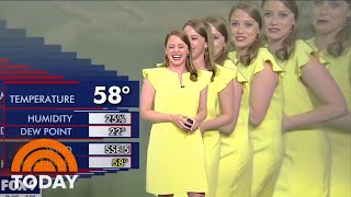 TV Meteorologist Gets Duplicated In Hilarious Green Screen Mishap [upl. by Moskow]