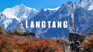 Trekking to Langtang and Kyanjin Gompa Valley in Nepal  Travel Video [upl. by Skees]