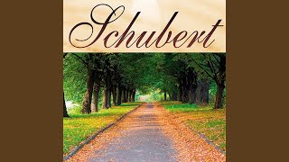 Serenata D957  Schubert [upl. by Llewkcor]