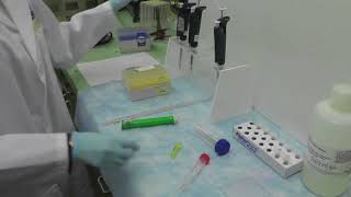 BCA Protein Assay [upl. by Ameerahs]