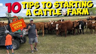 Starting a Beef Cattle Farm 10 TIPS for beginners to start a Cattle Ranch [upl. by Nemraciram]