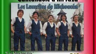 Los Luceritos de Michoacán  Las Nochecitas [upl. by Aniaj]