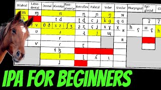 Conlanging 101 Basics of the IPA [upl. by Ttekcirc]