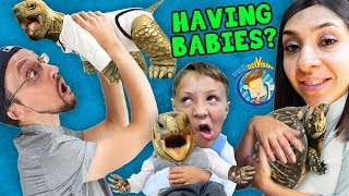 WERE HAVING MORE BABIES FV Family SCREAMINGLY FUNNY Vlog [upl. by Eelyahs94]