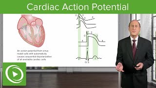 Pacemakers and quotslowquot AF patients [upl. by Lourdes]