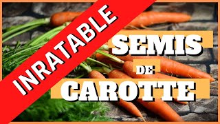 semis de carottes inratable [upl. by Ahseim730]