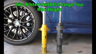 Why Bilstein B6B8s Change Your Ride Height [upl. by Stanley]