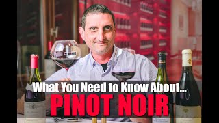 Everything You Need to Know About Pinot Noir [upl. by Uranie332]