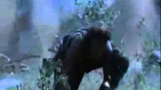 Platoon Clip  Elias Death Scene  YouTube [upl. by Arahsat]