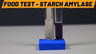 Food Test  Starch Amylase  ThinkTac [upl. by Bobbette]