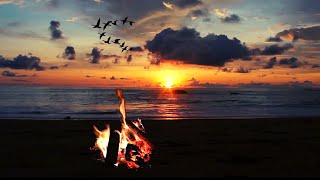 Très Belle Plage et Beau Feu de Cheminée  Ambiance Relaxation Etude Sommeil [upl. by Atiek]