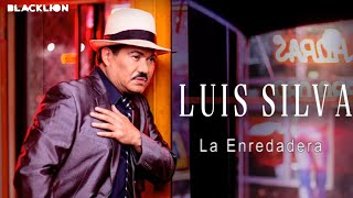 Luis Silva  La Enredadera Audio Oficial [upl. by Ggerg]