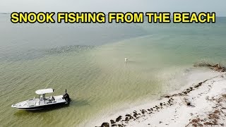 SNOOK FISHING How To Catch Snook From The Beach Wade Fishing [upl. by Aseuqram165]