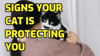 Can Cats Be Protective Of Their Owners [upl. by Sasha]