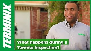 Termite Inspection Facts to Know from Terminix [upl. by Adiarf]