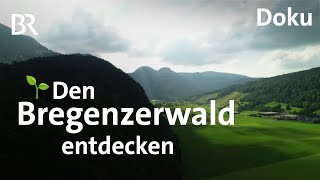 Urlaub und Wandern im unbekannten Bregenzerwald  CheeseTrail  Architektur  Freizeit  Doku  BR [upl. by Oihsoy]