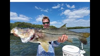 Giant Snook and Redfish Fishing  Epic Tampa Bay INSHORE FISHING [upl. by Wandis]