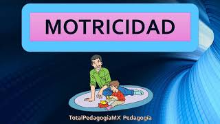 ¿Qué es la Motricidad  Pedagogía MX [upl. by Dine]