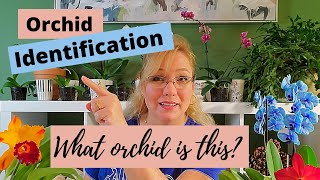 Orchid Identification The 5 Most Common Orchids for Beginners [upl. by Suoicerp]