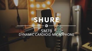 Shure SM7B Dynamic Cardioid Microphone  Reverb Demo Video [upl. by Laurence]