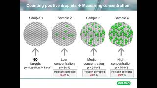 Foundational Counting in ddPCR [upl. by Lois]