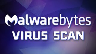 Malwarebytes Basics  How to Scan for Viruses amp Other Malware [upl. by Nallak970]