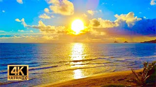 Sunrise from Kailua Beach in Oahu Hawaii  12 Hours of Beach Sunrise  Ocean Waves [upl. by Sproul758]