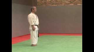 5 Pinan Godan Wado Ryu [upl. by Fanchette]