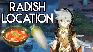 Genshin Impact Radish Locations [upl. by Kammerer]