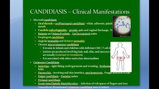 Microbiology 585 b Candida Candidiasis fungus fungi mycosis vulvoVaginitis intertrigo ID reaction [upl. by Eylk294]