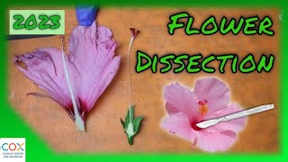 FLOWER DISSECTION Reproduction in Flowering Plants Virtual Lab  Virtual Science Shorts [upl. by Aztiray]