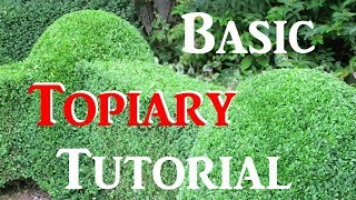 How To Do Basic Topiary  Tutorial [upl. by Zilber]