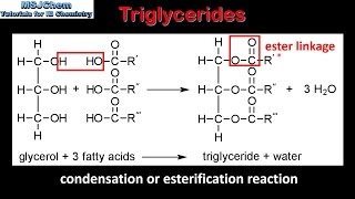 B3 Triglycerides SL [upl. by Kaleb]