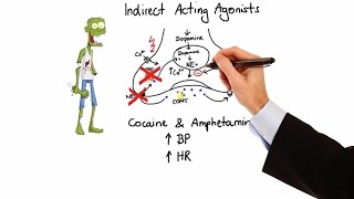 Pharmacology  ADRENERGIC RECEPTORS amp AGONISTS MADE EASY [upl. by Dias63]