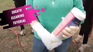 Sheath Cleaning Tutorial for Horses [upl. by Seppala657]