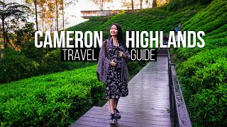 CAMERON HIGHLANDS  Complete Travel Guide  Travel Malaysia [upl. by Dorri]