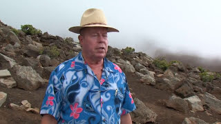 Haleakala Crater  Shore Excursion  NCL [upl. by Atiuqehc]