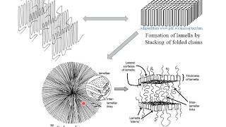 Polymer Crystallization  Hindi [upl. by Faria582]