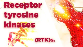 Receptor tyrosine kinases  RTKs  Cell Signaling [upl. by Turpin]