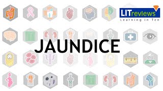 A Clinical Approach to Jaundice [upl. by Eelyma]